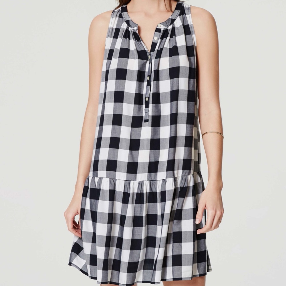 Loft Drop Waist Sleeveless Gingham Dress